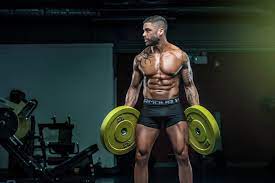 Shane Sull Fitness
